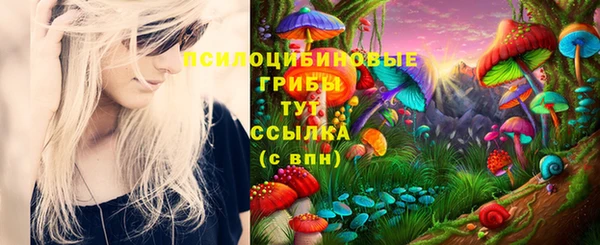 a pvp Алзамай