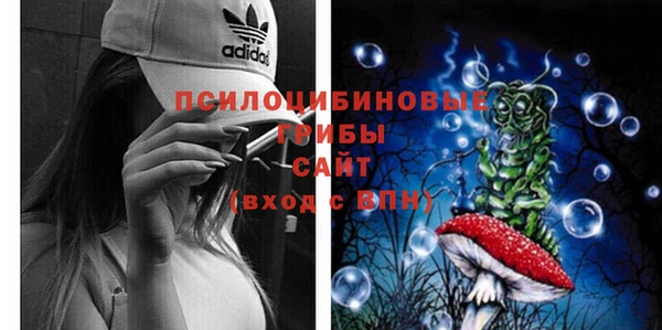 Альфа ПВП Алексин