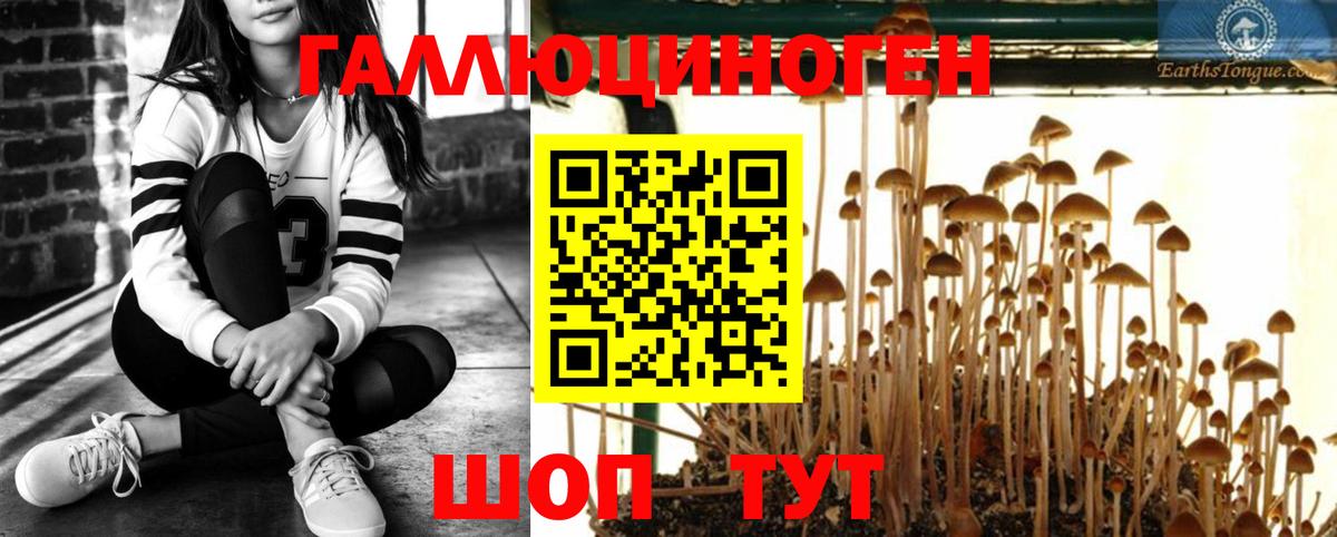 Галлюциногенные грибы MAGIC MUSHROOMS Бирск